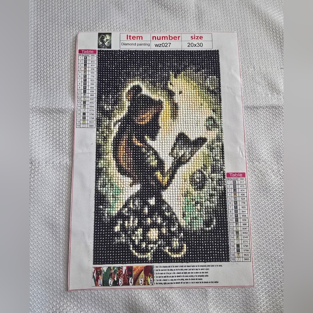 ❤️FINAL SALE- 20cm×30cm (8in×12in) Finished Diamond Painting